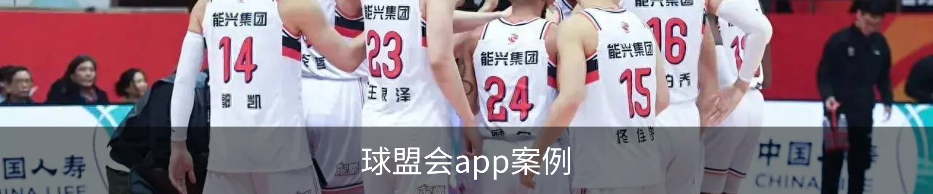 球盟会app案例